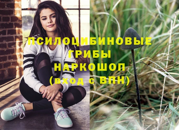Альфа ПВП Ладушкин