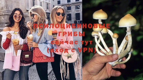 экстази Лагань